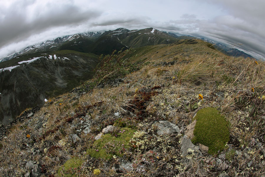 N60°11'11.4"  W135°06'34.3"