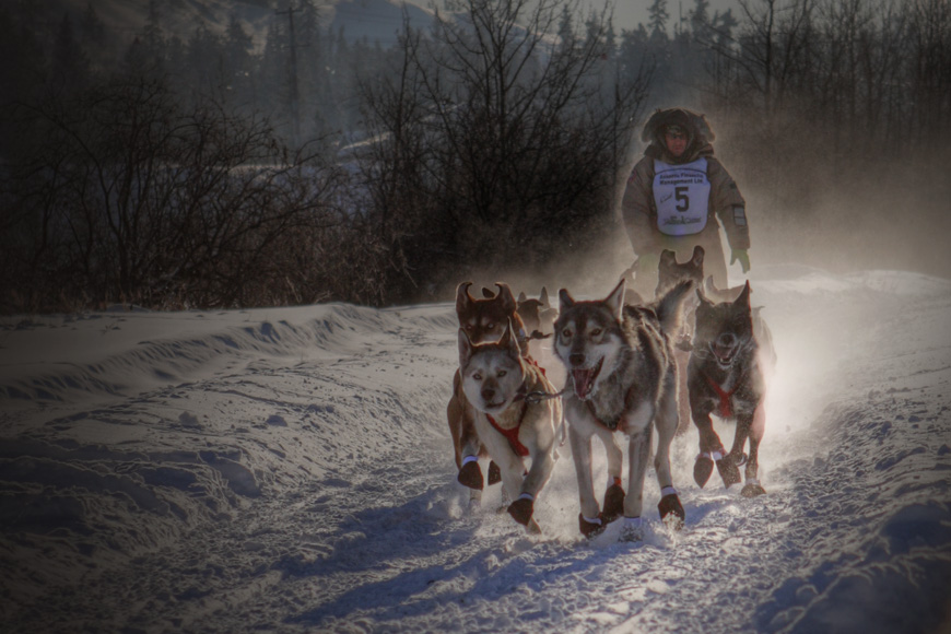 Yukon Quest 2009