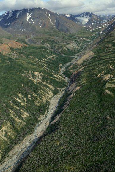 Kluane Park