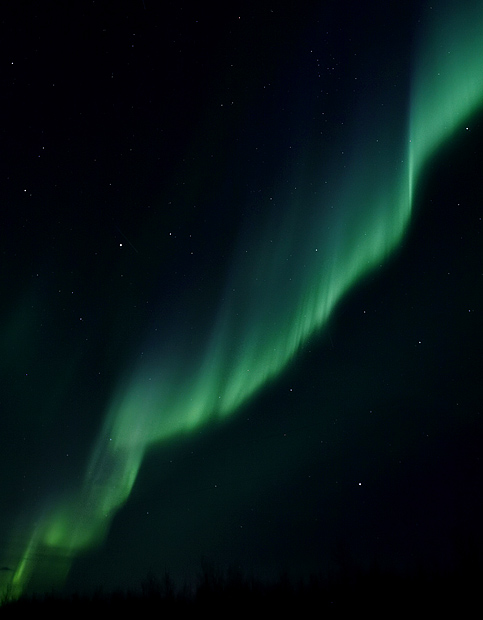 Northern Light  #20