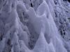 Draperie Blanche