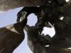 Foudroyé / Blowdown (2)