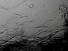 Water Abstract (3)