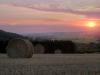 Rural Sunset