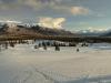 Sledging at Carcross Desert