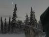Dogsledding on Takhini River (2)