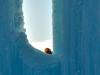 Ice Climbing