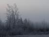 Quiet Morning